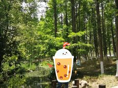 -新洲生态园
