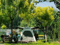 -朝阳公园游乐园