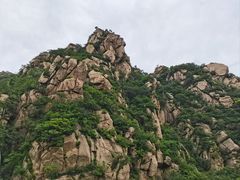 -大岭沟猕猴桃谷风景区