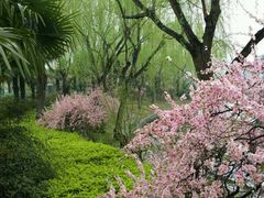 -黄兴公园