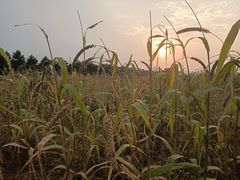 -汉长安城未央宫国家考古遗址公园