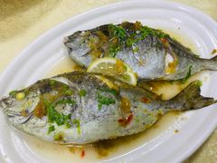 -惠来大排档(联创商业街店)