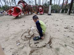 -合肥滨湖国家森林公园