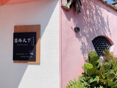 -菌林天下·野生菌汤锅