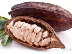 -鑫小城故事·砂锅·排骨藕汤(兴业路店)