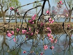 -无锡蠡湖国家湿地公园-蠡园