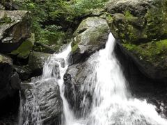 -藏龙百瀑风景区