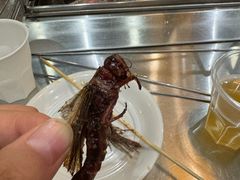 -小寒羊烧烤(凯瑞时代大厦店)