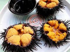 -南山酒肆(南山董事绘店)