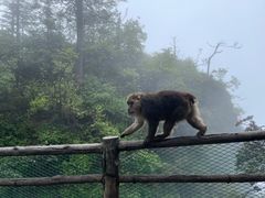 -峨眉山风景名胜区