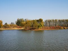 -东郊湿地公园