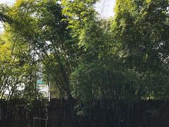 -澳珀食堂