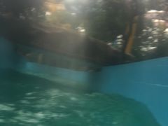 -热带风暴水上乐园(新镇路)