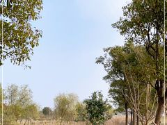 -春花秋色城市公园