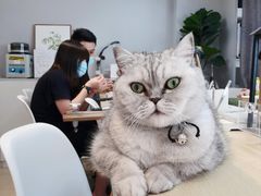 -Oasis绿洲银饰珍珠手作diy(壹方城店)