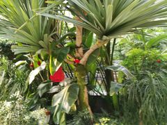 -南宫温泉水世界