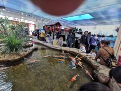 -鸿通城购物中心