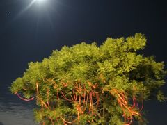 -七的湖·晚芳亭·阳澄湖农家菜·大闸蟹(莲花岛店)