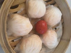 -益健美食大广场(北岭店)