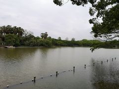 -江心屿景区