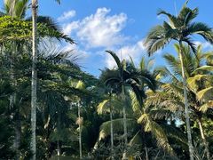 -西双版纳傣族园