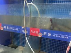 -鱼酷活鱼烤鱼(信息城店)
