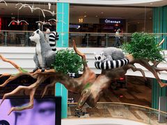 -大族广场Mall&More