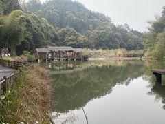 -天芳悦潭度假村温泉