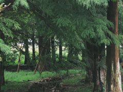 -南京市无想山景区