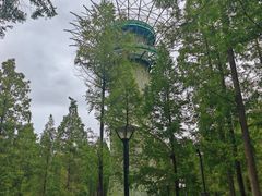 -黄海国家森林公园