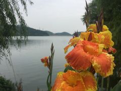 -宁波九龙湖开元度假村