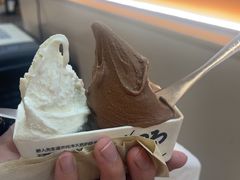 -野人先生现做冰淇淋(北京环宇荟店)