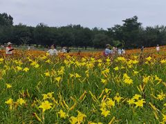 -汉长安城未央宫国家考古遗址公园