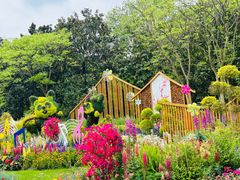 -上海共青森林公园