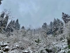 -九峰山