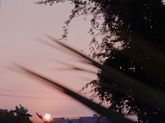 -梧桐面馆桐乡阿能面店(印象城店)