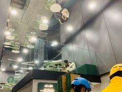 -茉酸奶(春熙路店)