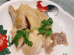 谭牛文昌鸡-琼菜王(南海店)