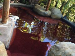-水底山庄园温泉