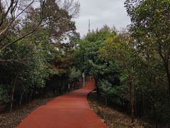 -敬亭山风景名胜区