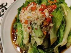 爽口生菜梗-风波庄(罍街分舵)