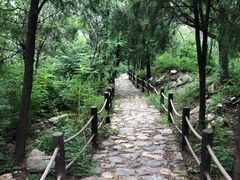 -阳台山自然风景区