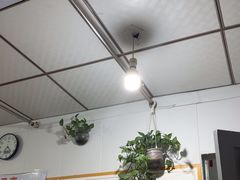 -林康盲人推拿