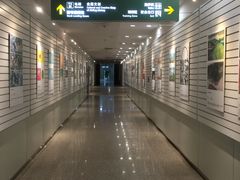 -金陵图书馆