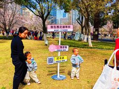 -西北湖绿化广场