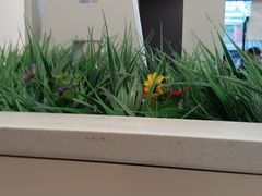 -魏家凉皮(协和店)