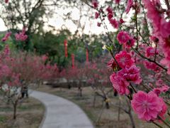 -桃花涧