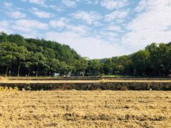 -韶山毛泽东同志故居