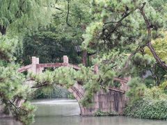 -上海醉白池公园