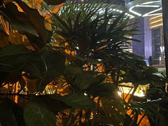 -农畉LONFOOD(福田星河COCOPark店)